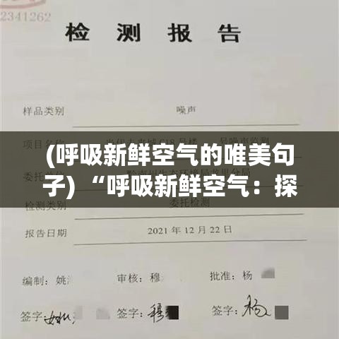 (呼吸新鲜空气的唯美句子) “呼吸新鲜空气：探索通风口设计的重要性及其对室内空气质量的影响”