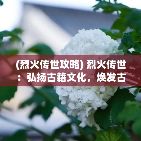 (烈火传世攻略) 烈火传世：弘扬古籍文化，焕发古典智慧的现代光彩